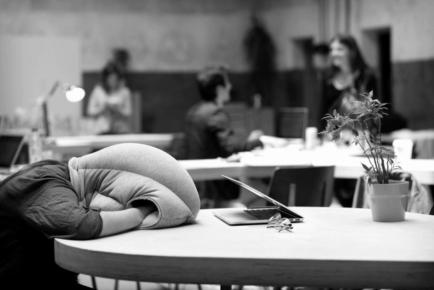 SEO-Ranking Lernprogramm